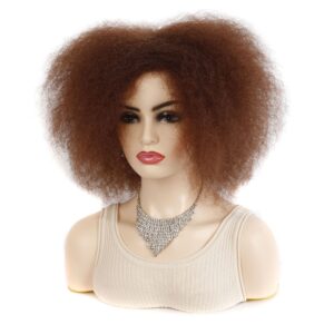 Afro Kinky curly wig